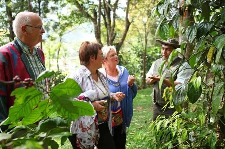 Spice Planation Visit