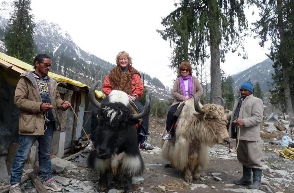 Trekking & Hiking