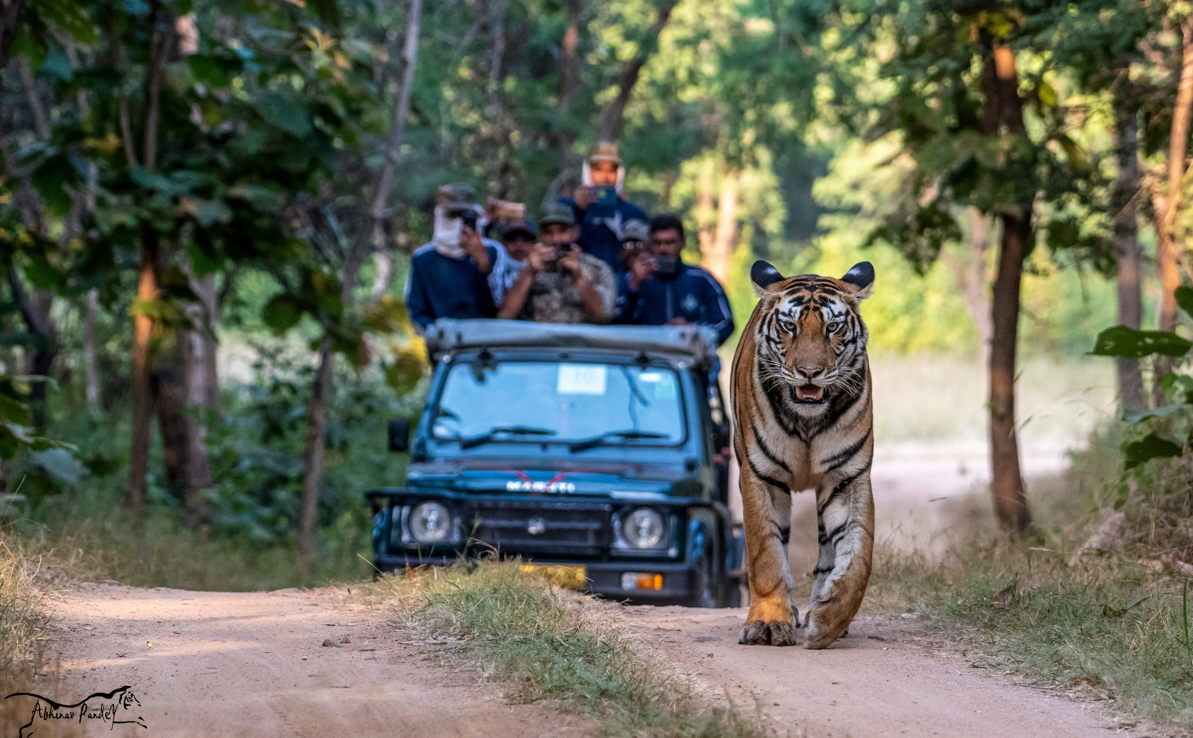 Luxury Ranthambore Tour Discover the Wild Heart of Rajasthan with Total India DMC