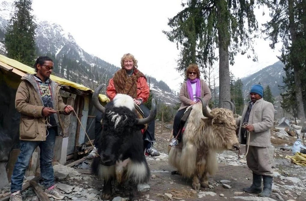 Trekking & Hiking
