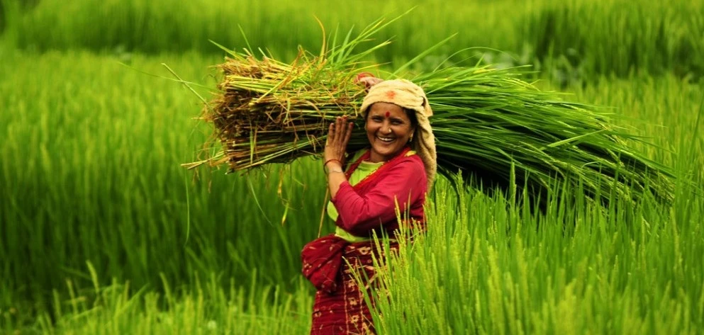 Farm Tours India