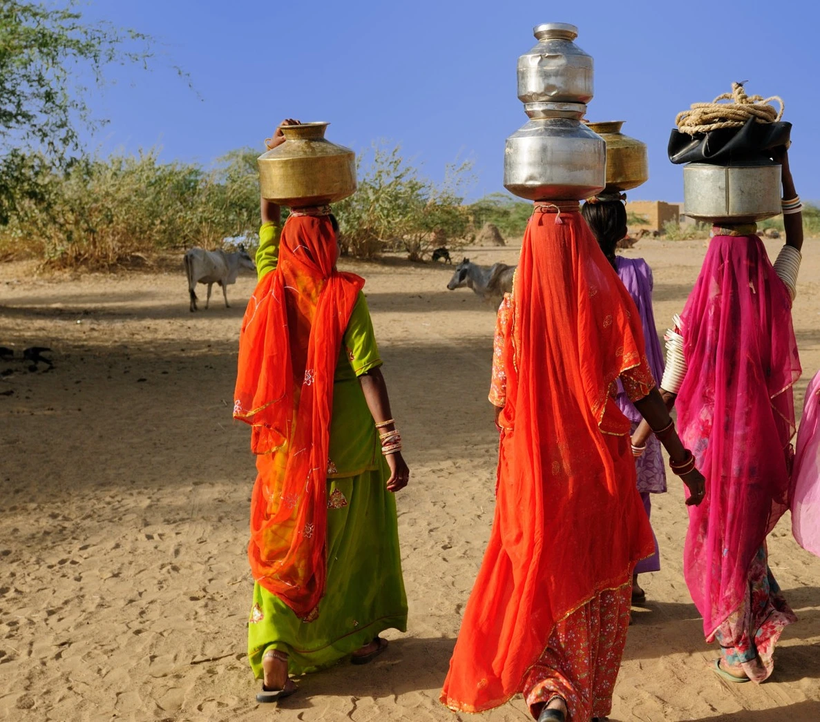 Farm Tours India