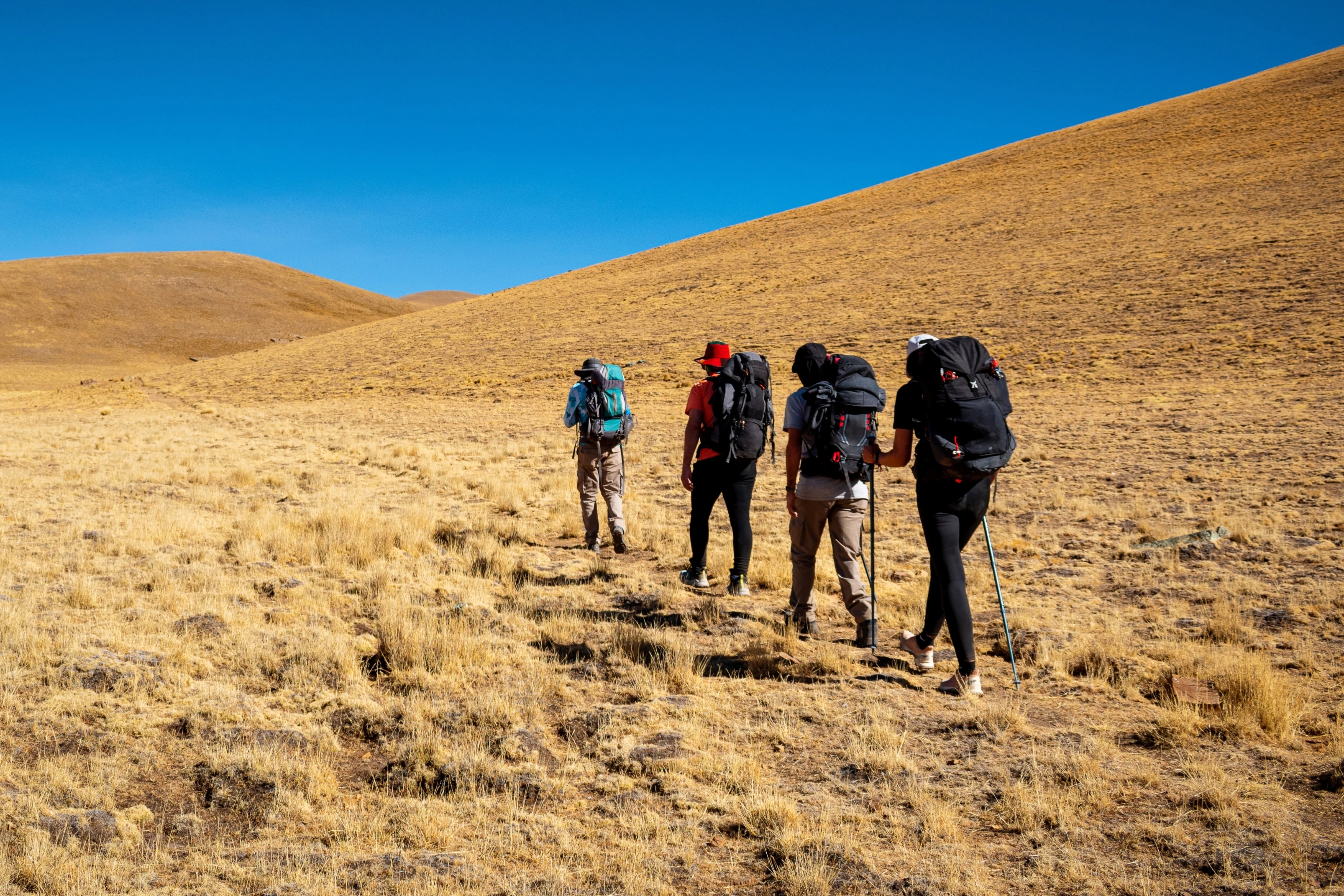 Discover India Your Way: Bespoke Solo Journeys with Total India DMC