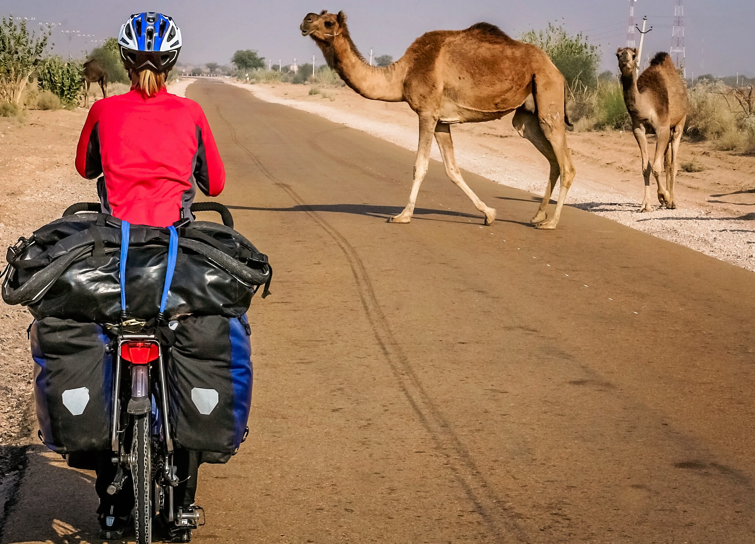 Discover India Your Way: Bespoke Solo Journeys with Total India DMC